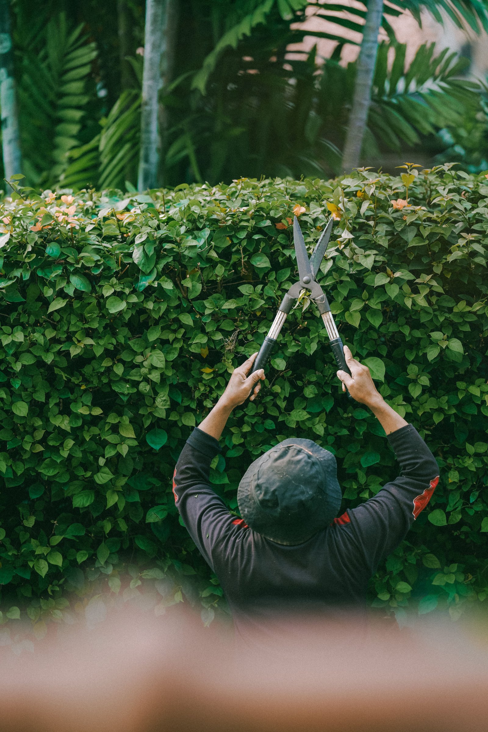 Local Trusted Sydney Gardeners